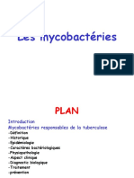 Mycobactéries