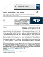 Organellar Calcium Signaling in Plants