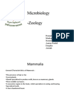 Microbiology Mammal Classification