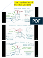 Disruptive, Impulse-Control, and Conduct Disorders 