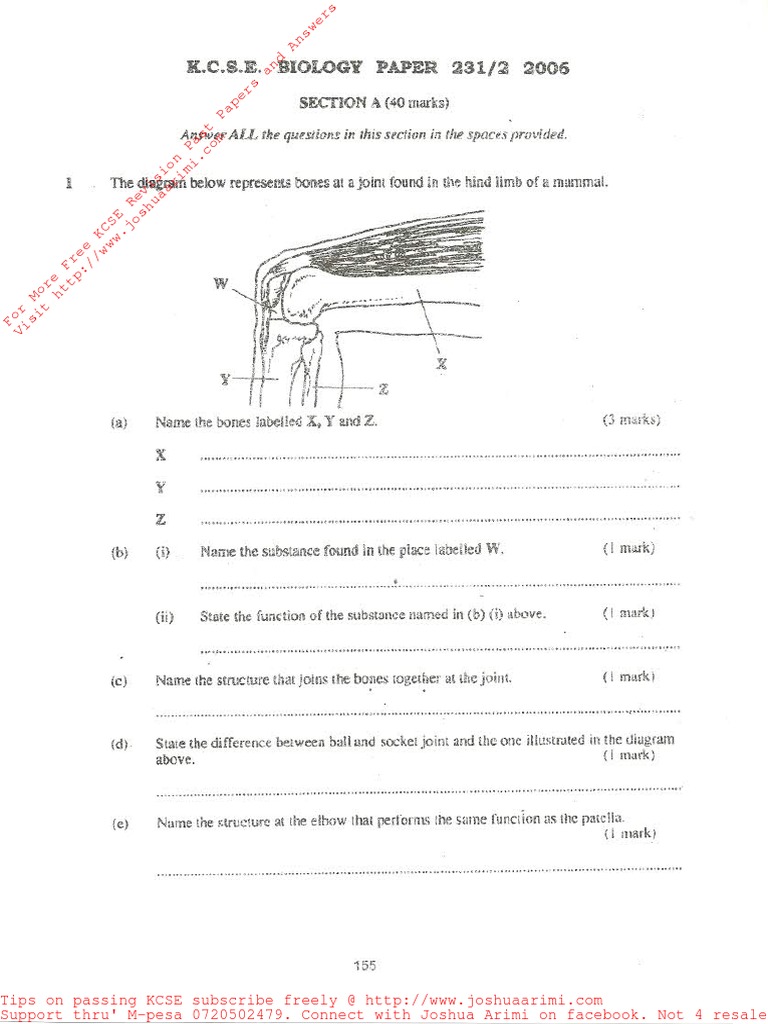 Kcse 2006 Biology P2 Pdf