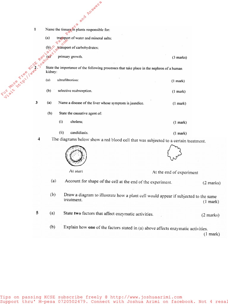 Kcse 2008 Biology P1 Pdf