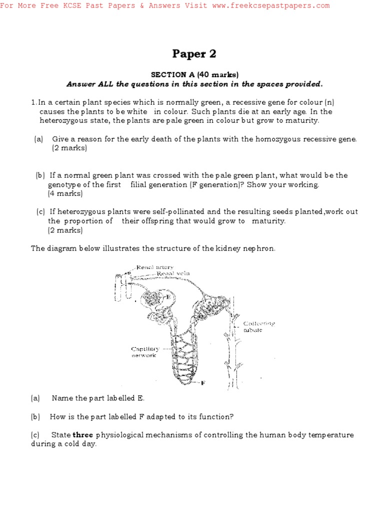 Kcse 2012 Biology p2 PDF Zygosity Plants