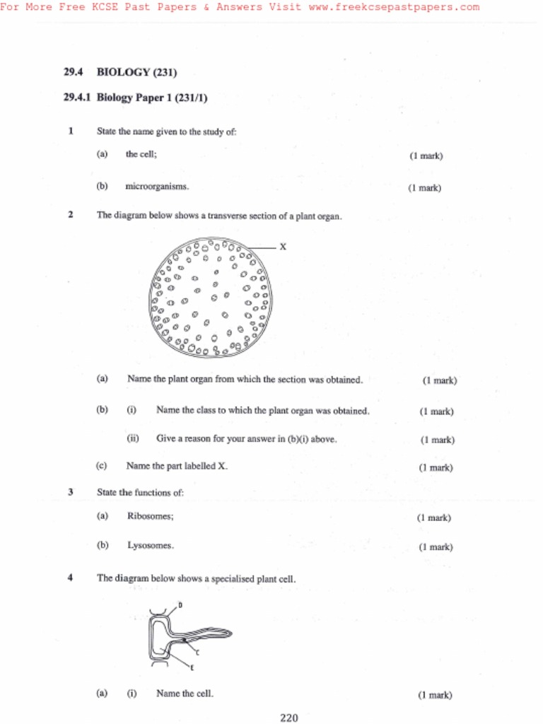 Kcse 2010 Biology P1 Pdf
