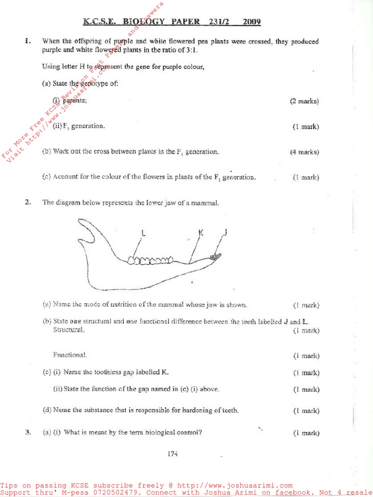 Kcse 2009 Biology P2 Pdf