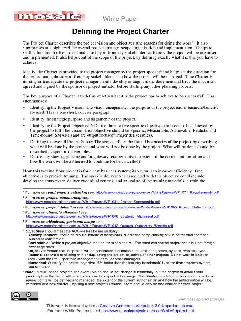 WP1019 Charter | PDF | Project Management | Risk