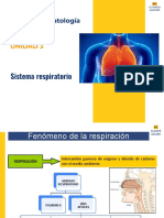 MP08 - UF1 - UD3 - Sistema Respiratorio