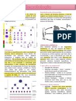 Anemias hipo e hiperproliferativas