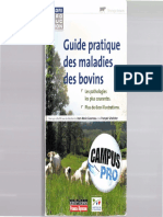 Guide_pratique_des_maladies_des_bovins_2011