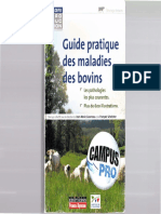 Guide Pratique Des Maladies Des Bovins 2011