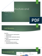 L3The Cell Structure and Functions PDF