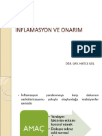 Inflamasyon Ve Onarım PDF