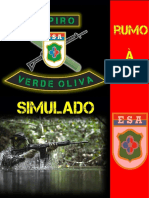 Simulado Esa