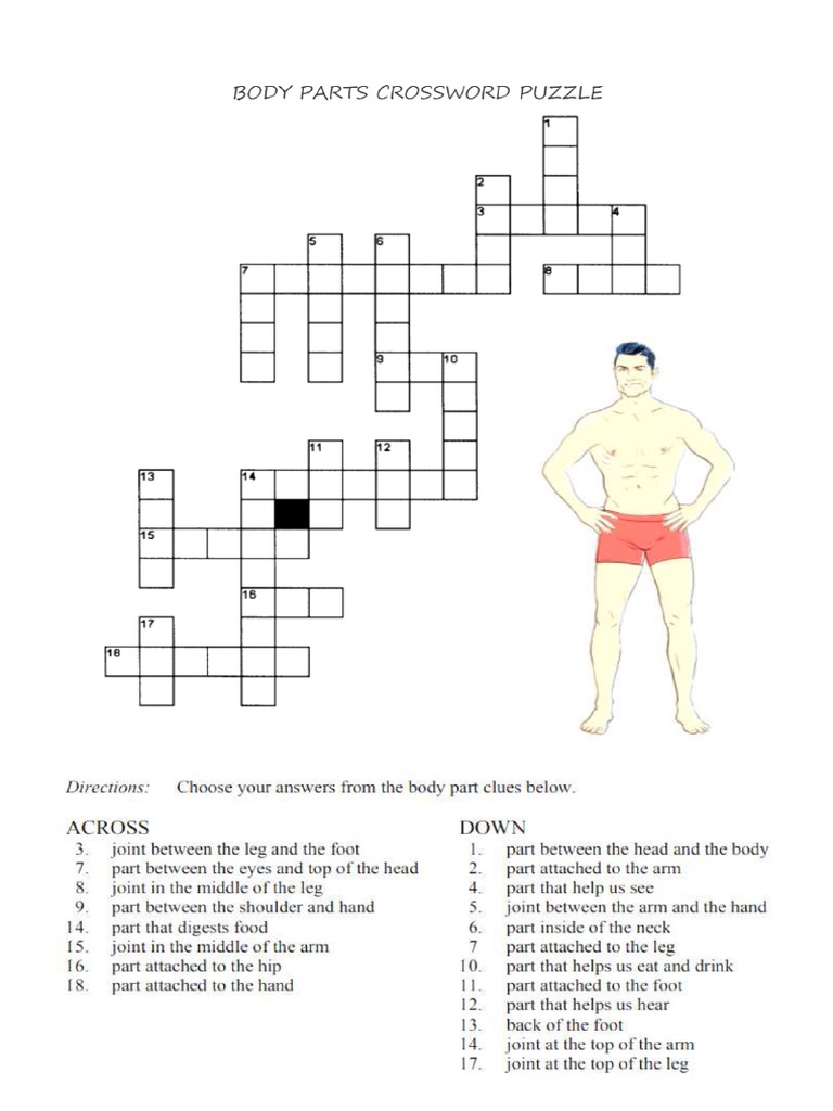 Body Parts Crossword Puzzle PDF