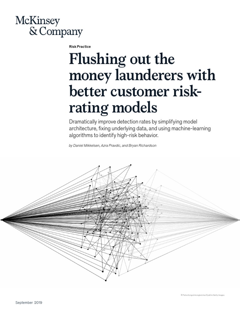 Flushing Out The Money Launderers VF PDF Money Laundering Machine