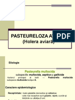 Pasteureloza - Aviara I