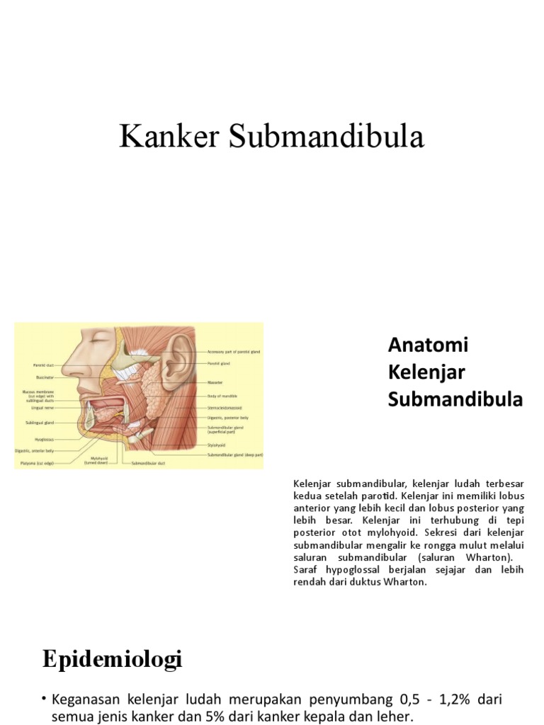 Ca Submandibula | PDF