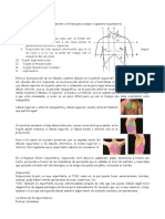 Semiología respiratoria completa