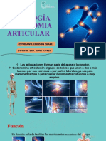 Anatomía y fisiología articular: tipos, partes y movimientos