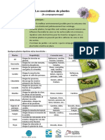 Fiche Compagnonnage CPIE