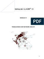 Apostila Network Analyst