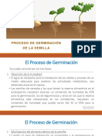 Clase 3 Proceso de Germ I Nacion