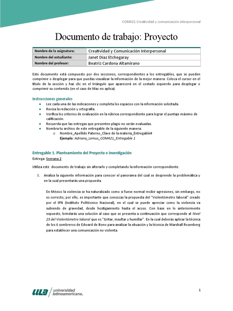 COM421 - Entregable 2 | PDF | Comunicación | Creatividad