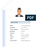 CV - Luis Rangel