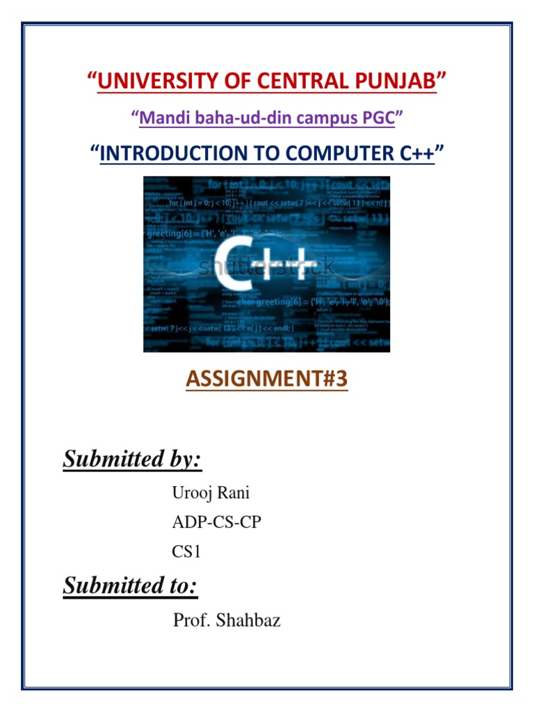 C++ Assignment | PDF