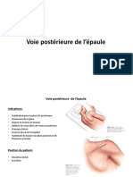 Voie Postérieure de L'épaule