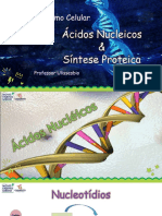 Aula 07 - Núcleo e Síntese Proteica