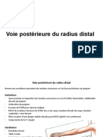 Voie Postérieure Du Radius Distal