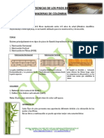 Especificaciones Tecnicas de Los Pisos de Bambú Guadua Bambu y Maderas de Colombia