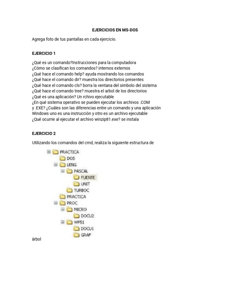 Ejercicios Resueltos en MS-DOS | PDF