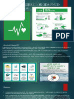 Exposicion Sobre Los Ods-Pnud