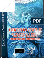 LIBRO Derecho Civil Carlos Vázquez