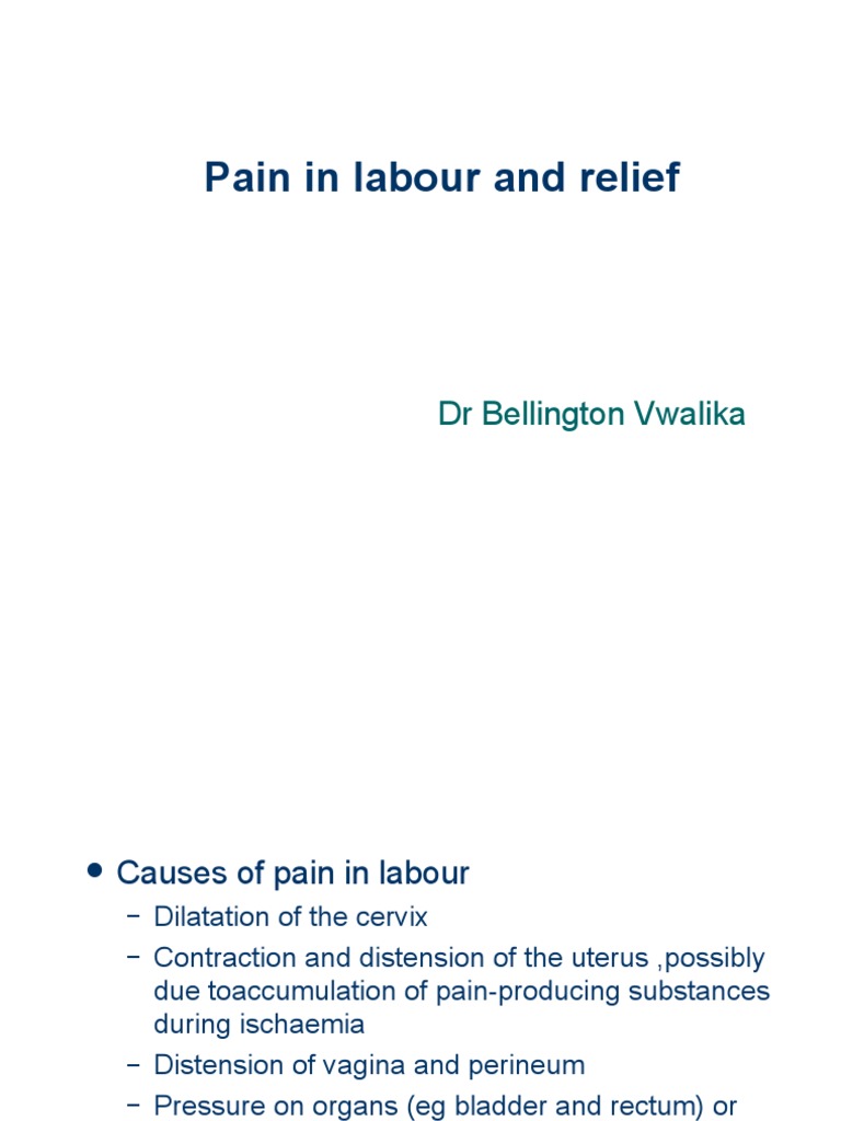 Pain in Labour and Relief PDF