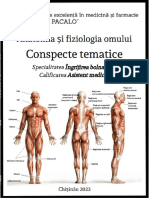 ANATOMIA