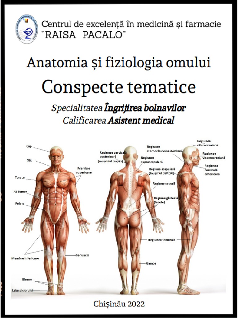 ANATOMIA | PDF
