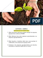 Actividad - Diapositivas Empresas Agropecuarias Conforme Al Pcge