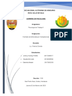 Formato de Entrevista Por Competencias Completo