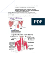 Teste Clinice Si Paraclinice Centura Scapulohumerala + Cervical