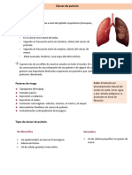 Cáncer de pulmón: Guía completa sobre factores de riesgo, síntomas y tipos