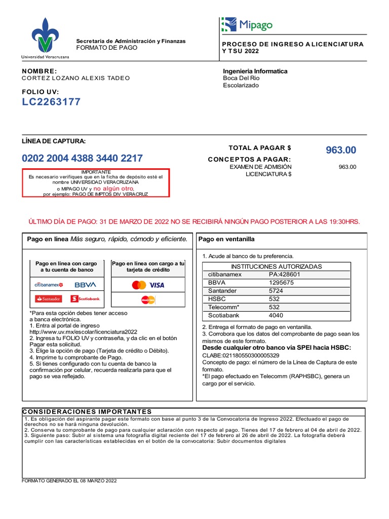Formato de Pago | PDF | Industrias de servicio | Finanzas personales