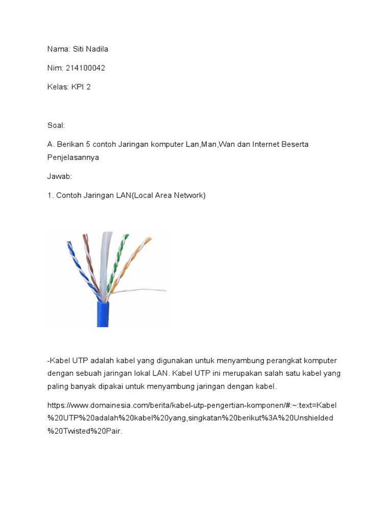 Contoh Jaringan Komputer: LAN, MAN, WAN | PDF | Bisnis | Komputer