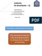 Anatomy Structures for Dissection
