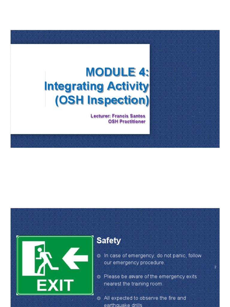 BOSH Module 4 Integrating Activity (Synerquest) | PDF