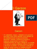El Garzon (PPTminimizer)
