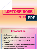 (C7) - Leptospirose