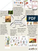 Mapa Mental Biología 1 - Isabella